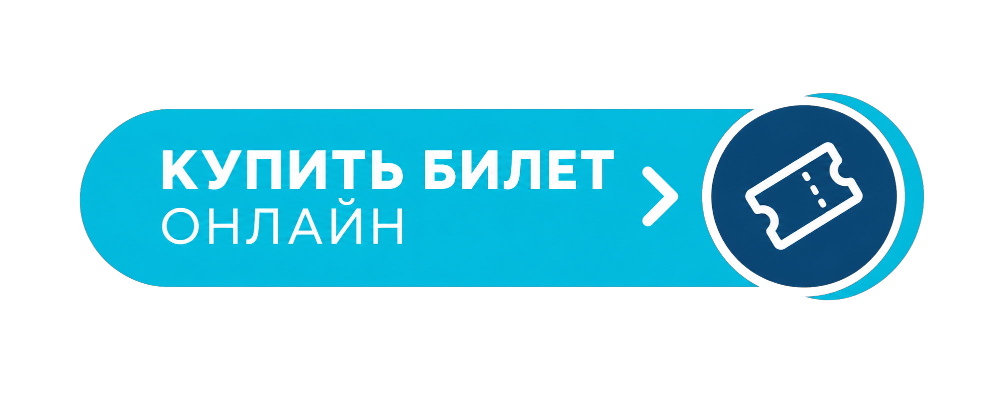 пушкинская карта